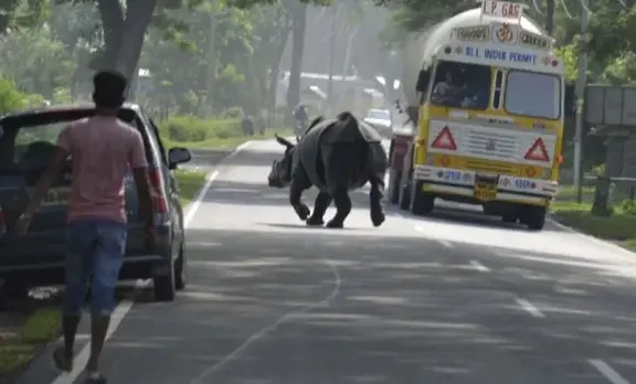 Assam Police Allows Daytime Movement for Commercial Trucks in Kaziranga